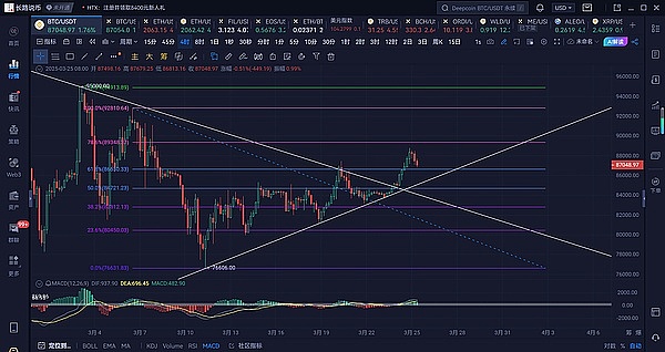 当加密世界遇见神秘黑猫：新加坡Token2049现场直击