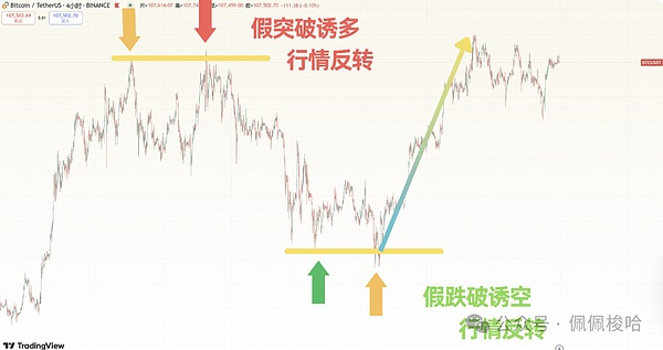 跨越半个地球的葡萄酒之约：建发与奥兰的深度对话