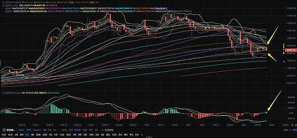 狗狗币的疯狂涨势：这次真的能登月吗？