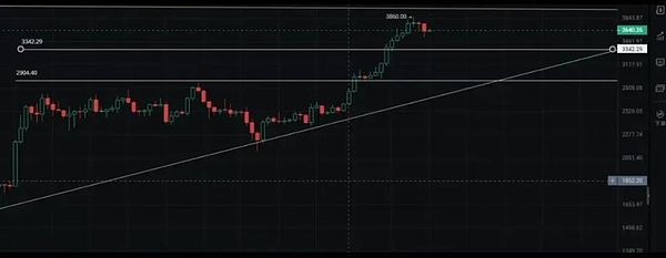 20亿注资！这家AI芯片新贵凭什么引爆资本热潮？