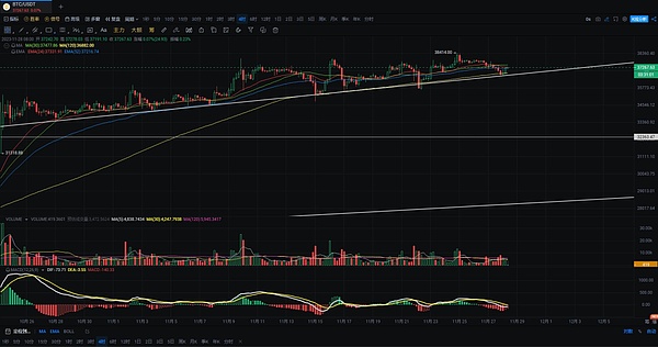 寻找下一个SOL：CoinList或将成为加密独角兽的摇篮