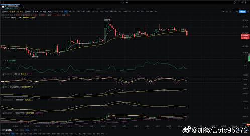 解密特朗普家族的比特币野心：一场披萨晚宴引发的加密风暴