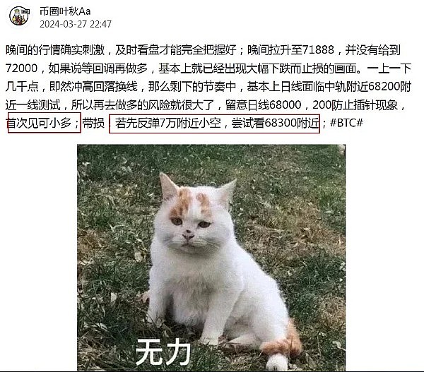 盲盒革命：X-Show如何重塑数字资产投资体验