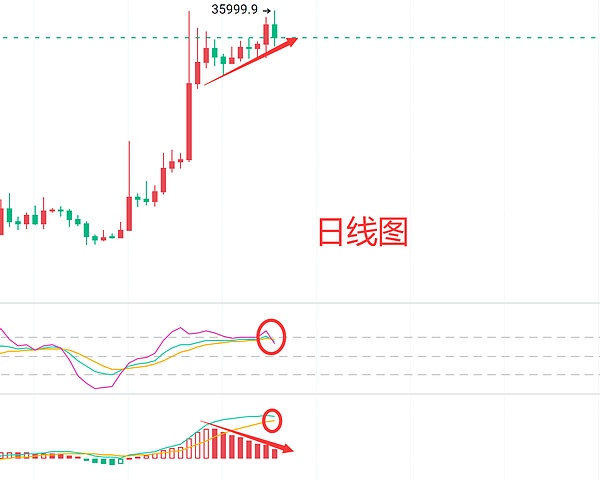 深度解析POLYX：RWA赛道的潜力股到底值不值得投资？