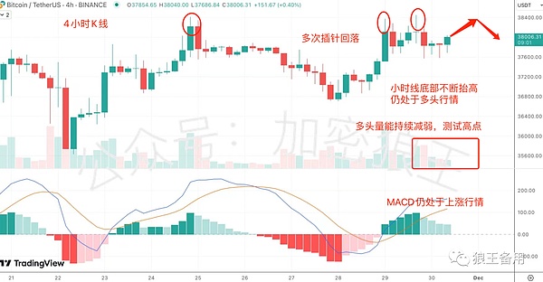 xPet现象：SocialFi新秀的机遇与隐忧