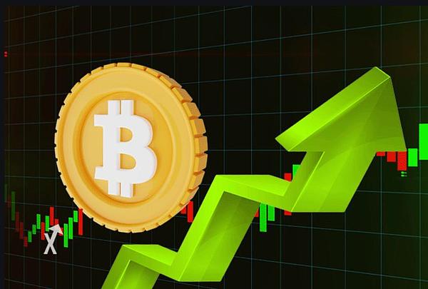 加密世界求生指南：这些暗语不懂要吃大亏