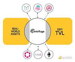 泡沫褪去后的Web3众生相：我在Token2049见证的行业寒冬